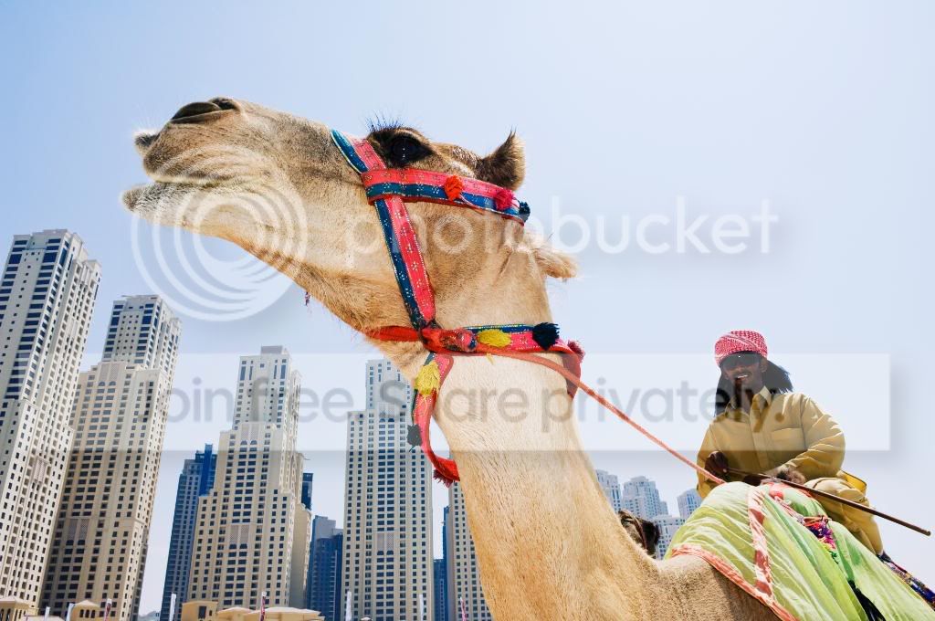 Dubai-1.jpg