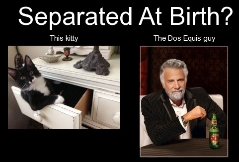 birth.jpg