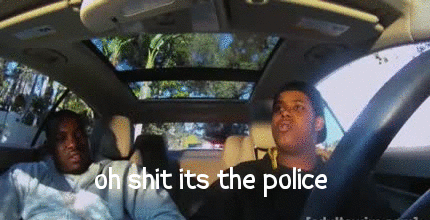 tumblr_m48ung6yJI1qc3oq1o1_r1_500.gif