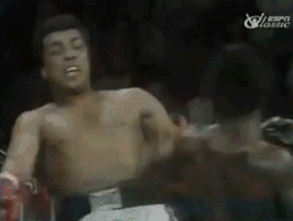 CvVFXbF.gif