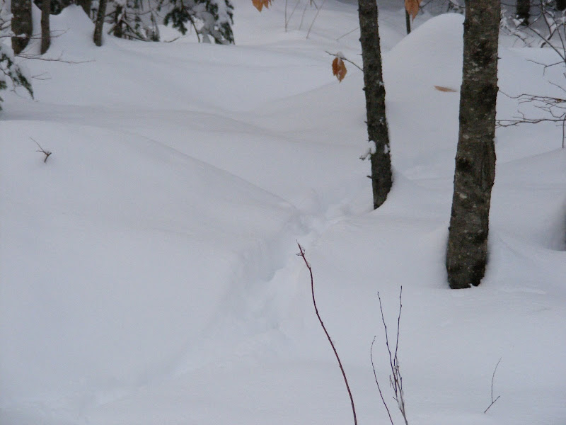 DSCF0197.JPG