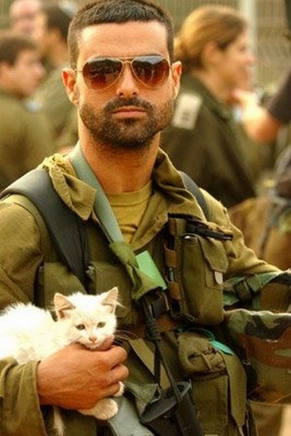 soldiers-and-cats03.jpg