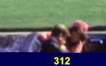 312-313.gif