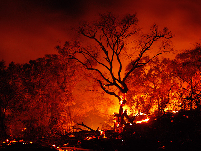 Forest_Fire_10-25-2008_1.jpg