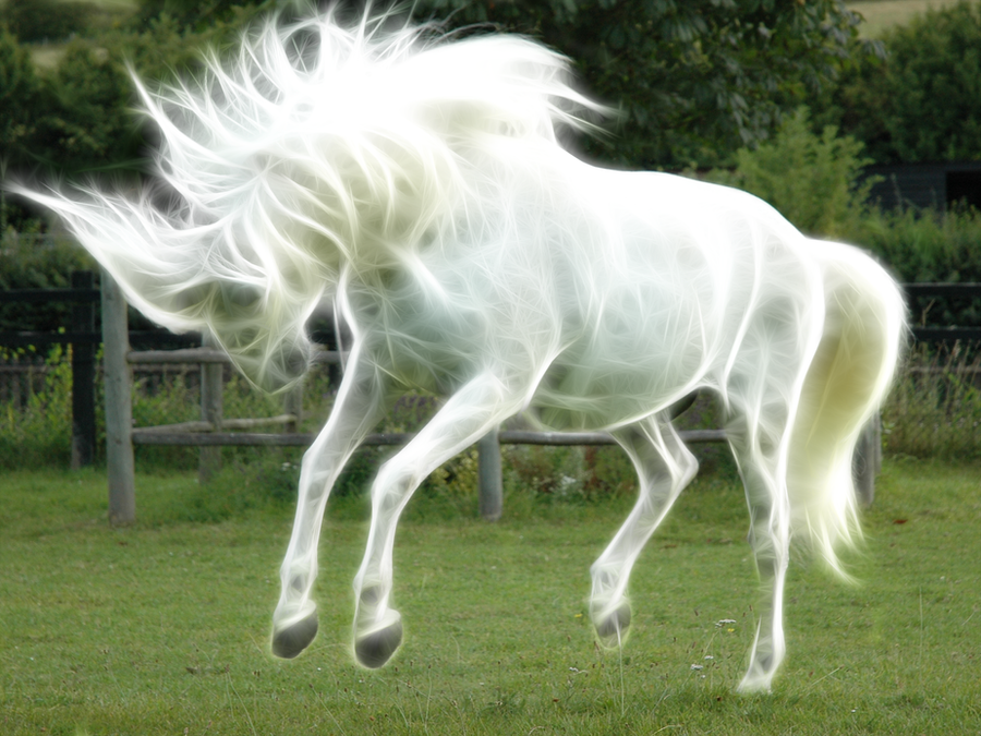 Fractal_Horse_by_CeryniArtwork.png