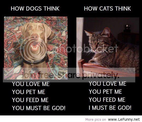 How-dogs-think-How-cats-think_zpsc582166b.jpg