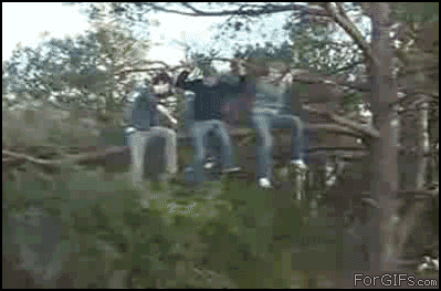 Branch_cutting.gif