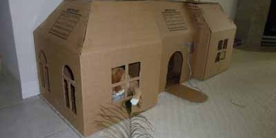 funny-cat-forts-pictures-25-400x200.jpg