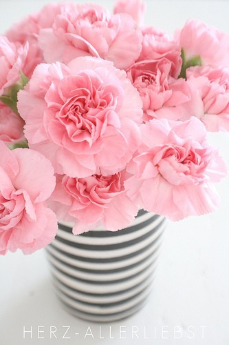 pinterest6a.jpg