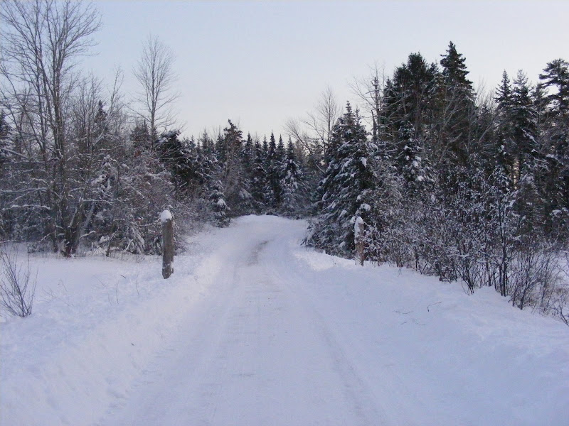 DSCF0240.JPG