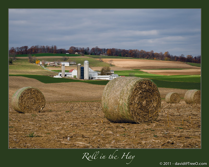 081111_Roll-in-the-Hay_.jpg