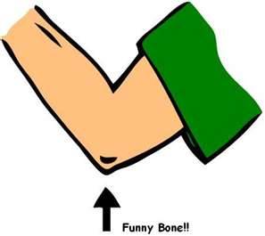 Funny-Bone.jpg