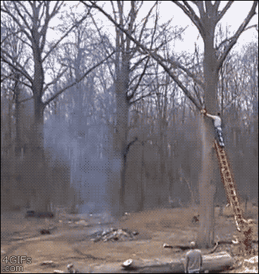 ONUgBZ3.gif