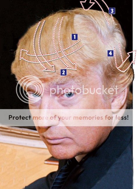 combover_zps8bd63b6d.jpg