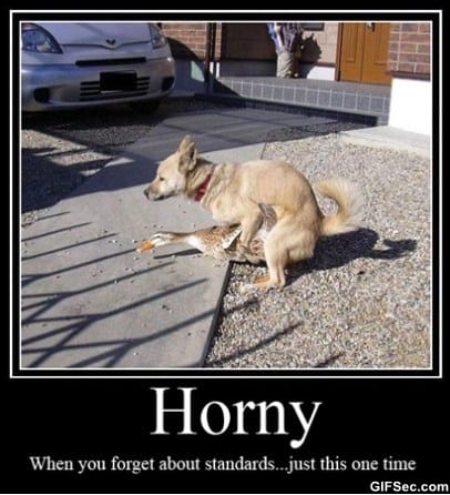 horney.jpg