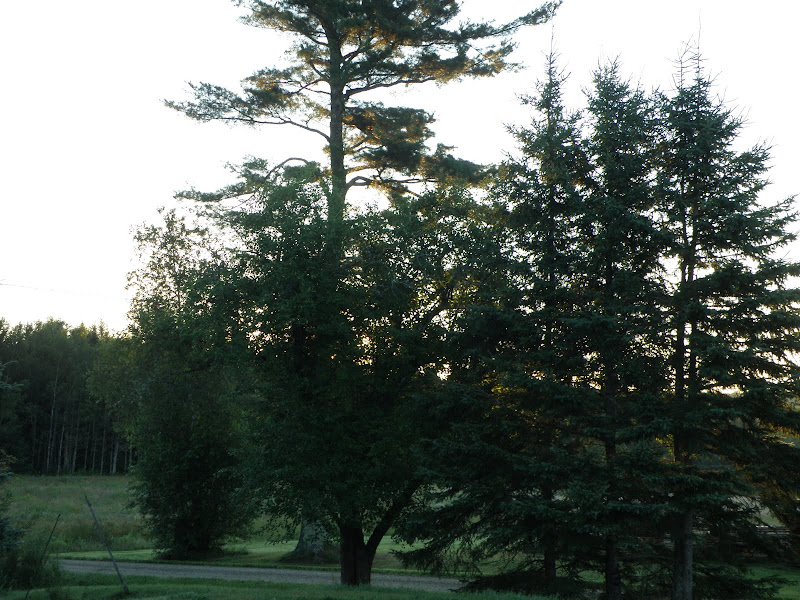 P7264998.JPG