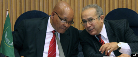 r-ZUMA-AU-large570.jpg