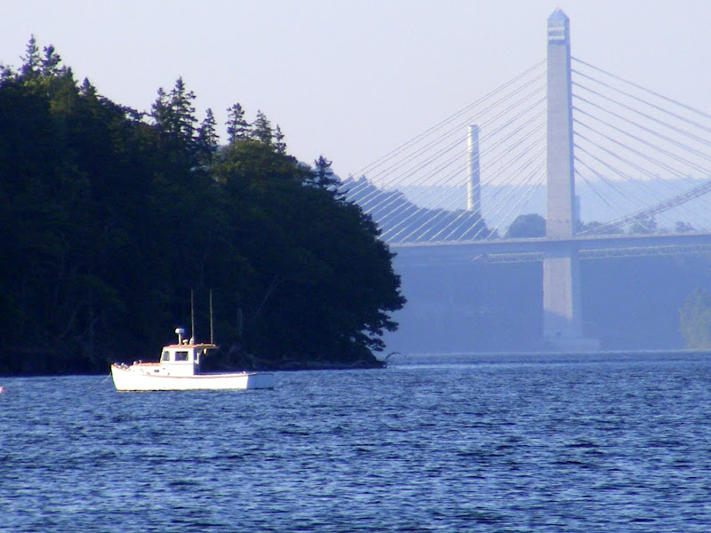 DSCF8762.jpg