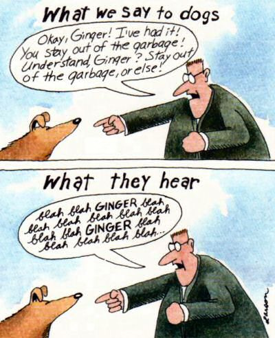 far-side-what-dogs-hear.jpg