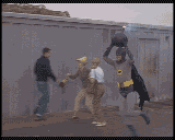 wegmans17.gif