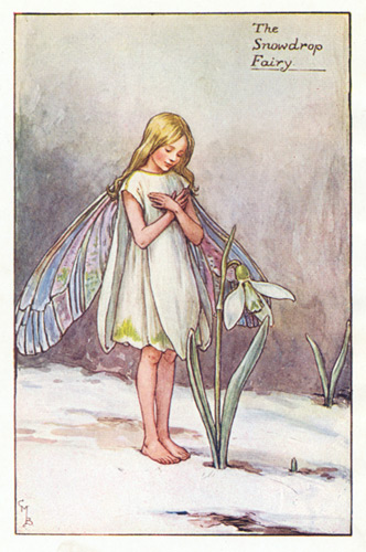 snowdrop.jpg