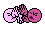 meow.gif