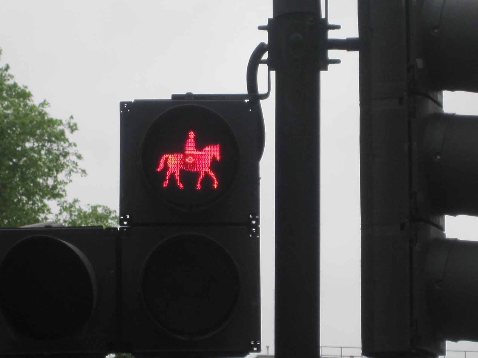 horse-crossing-light.jpg