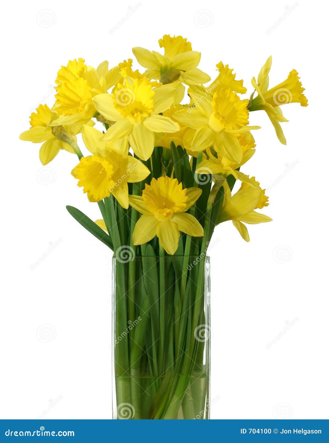 daffodils-vase-isolated-704100.jpg