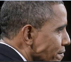 ear.jpg