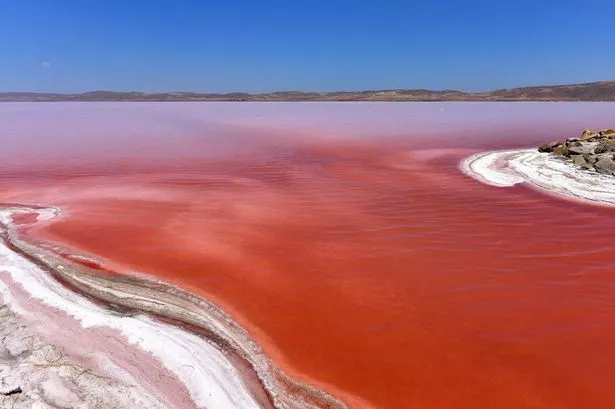 Salt-Lake.jpg