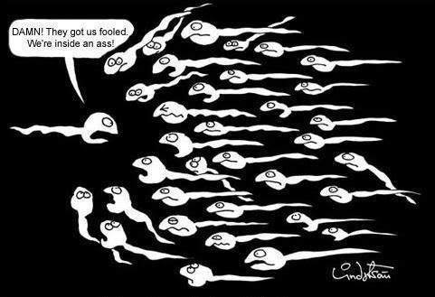 9_funny_fooled_sperm.jpg