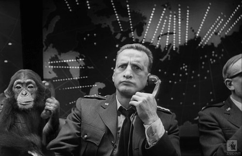 george_c_scott_monkey_chew_strangelove.gif