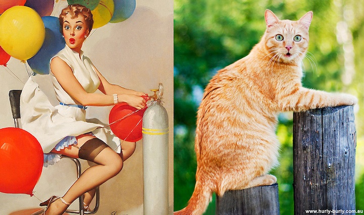 catsthatlooklikepinupgirls02.jpg