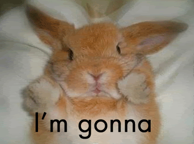 knockoutbunny.gif