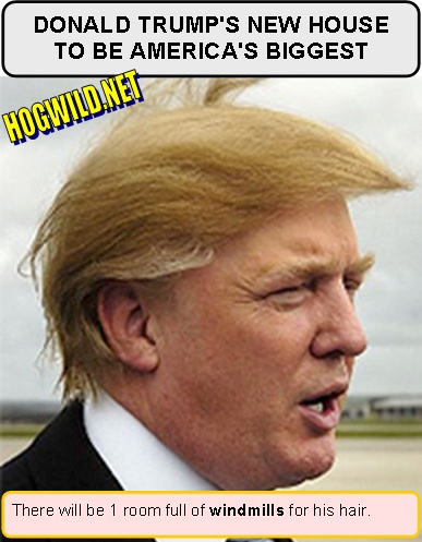 donald.trump-hair.jpg