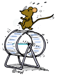 mouse_wheel.gif