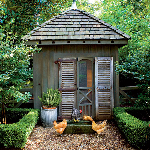 chicken-coop9.jpg