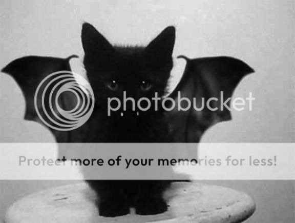 Kittybat.jpg