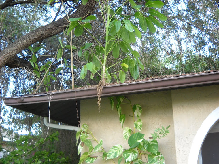 DSCN1259.JPG