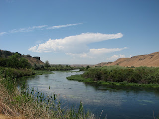 IMG_0499.JPG