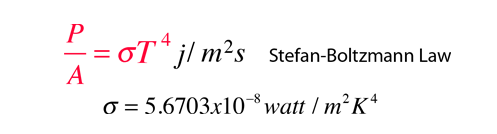 stef1.png