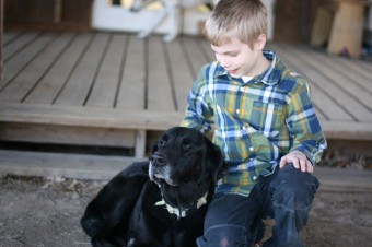 boy-petting-dog-by-porch-340x226.jpg