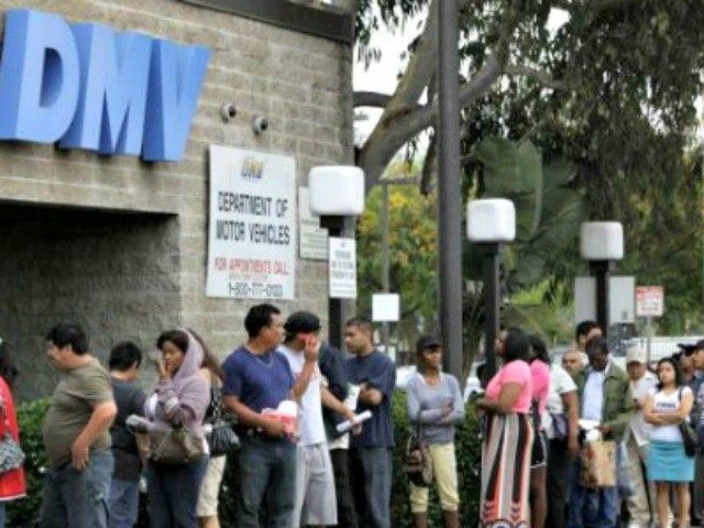 DMV.jpg