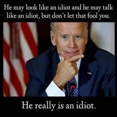biden%20idiot%2001.jpg