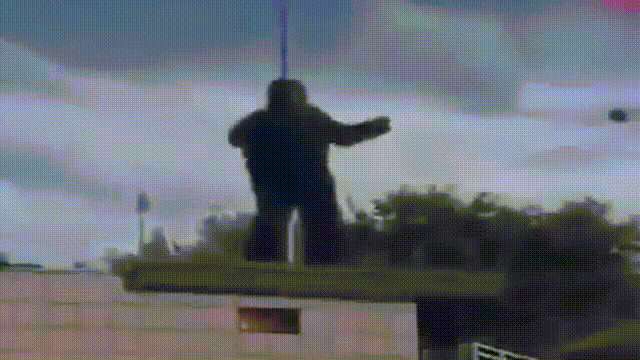 Ll4oTlZ.gif