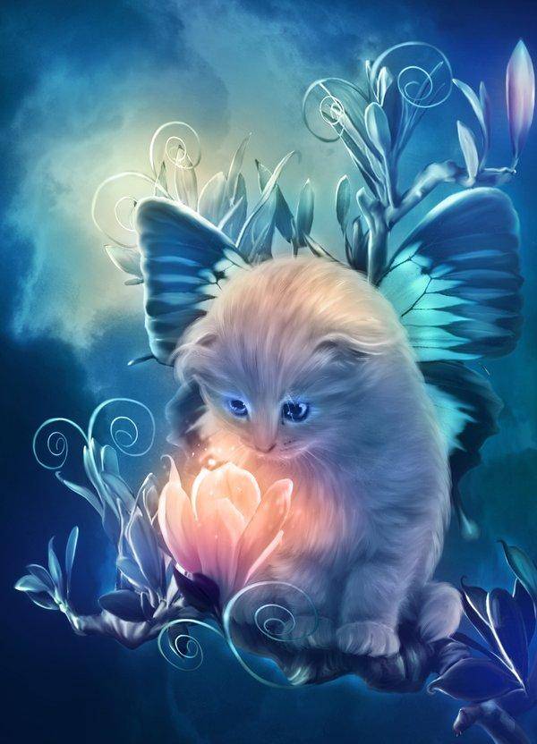 fairy_kitty_by_marilucia600_832.jpg