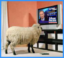 Sheeple%20Watch%20Fox%20News.jpg