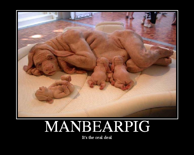 MANBEARPIG.png