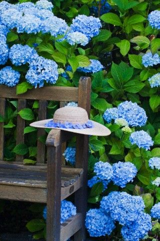 07bb106e5e51d515d18ba4d04a6f53df.jpg