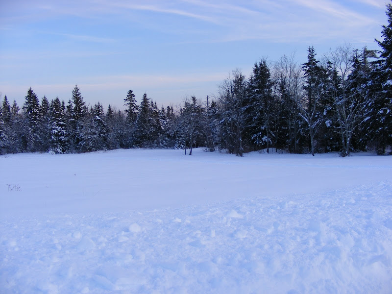 DSCF0177.JPG